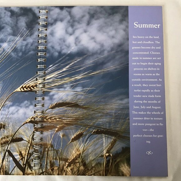 The Seasons of Parmigiano Reggiano Cheese Cookbook Vintage 1998 Nancy Radke - Picture 4 of 7